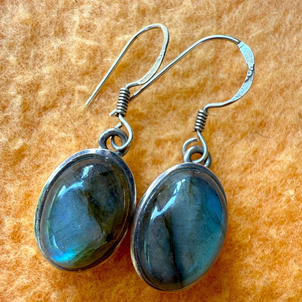Elegant Silver and Blue Earrings